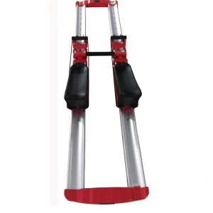 Back2 Craw Hoizontal Exercise Machine Body Gym