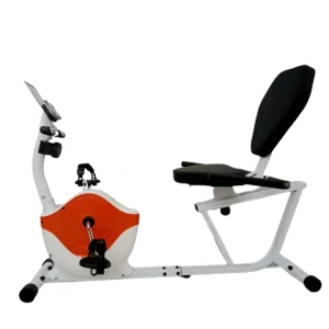 Recumbent Bike Body Gym